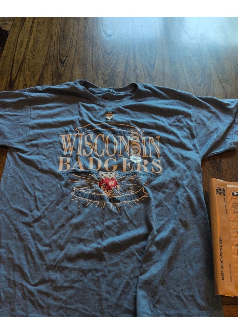 Wisconsin Badgers Graphic T‑Shirt - Blue